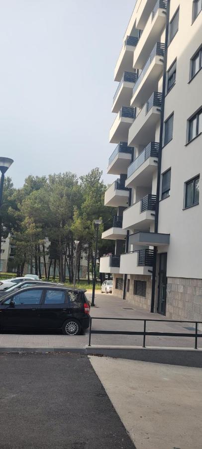 Tila 2 Trebinje